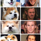 Illustration for article titled Chris Hemsworth Really Looks Like a Dog